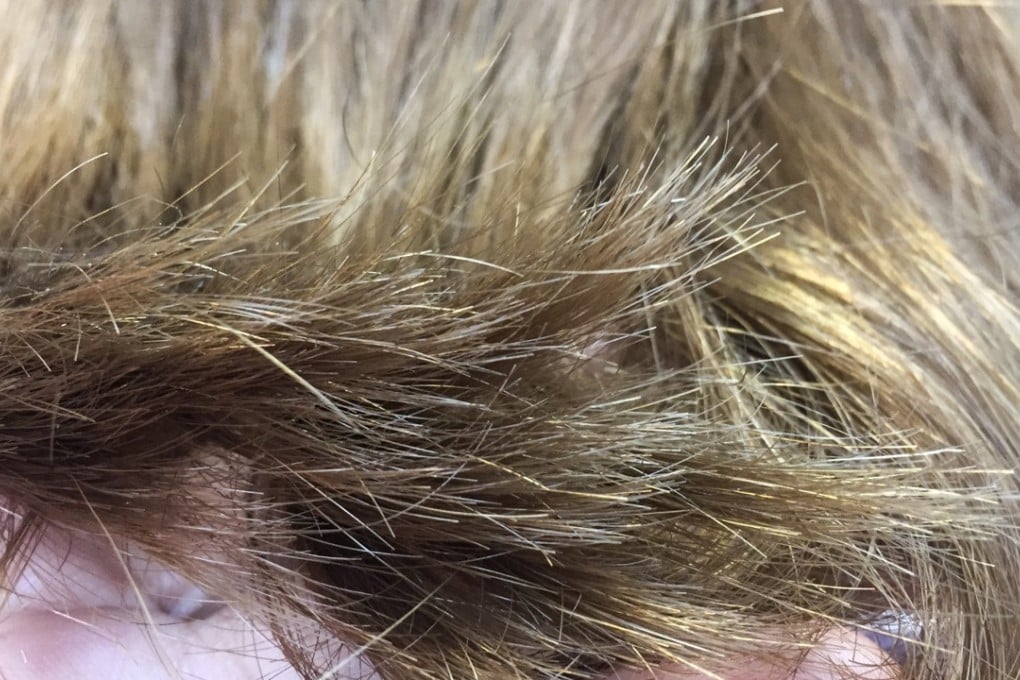 Split ends should be trimmed to stop the splits spreading. Photo : Shutterstock