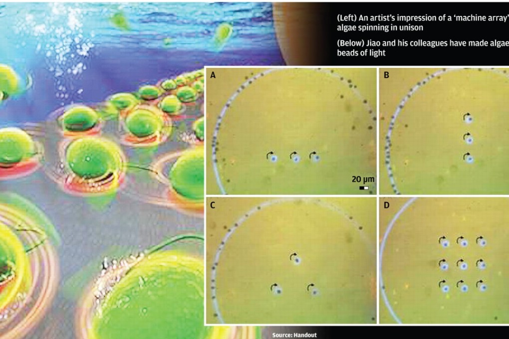 Chinese scientist’s team breakthrough in making green algae circle a dot of light could aid the effort to control bacteria, red blood cells and tumour cells