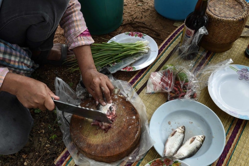 A farmer chops fresh fish for lunch in the northeastern Thai province of Khon Kaen. Photo: AFP