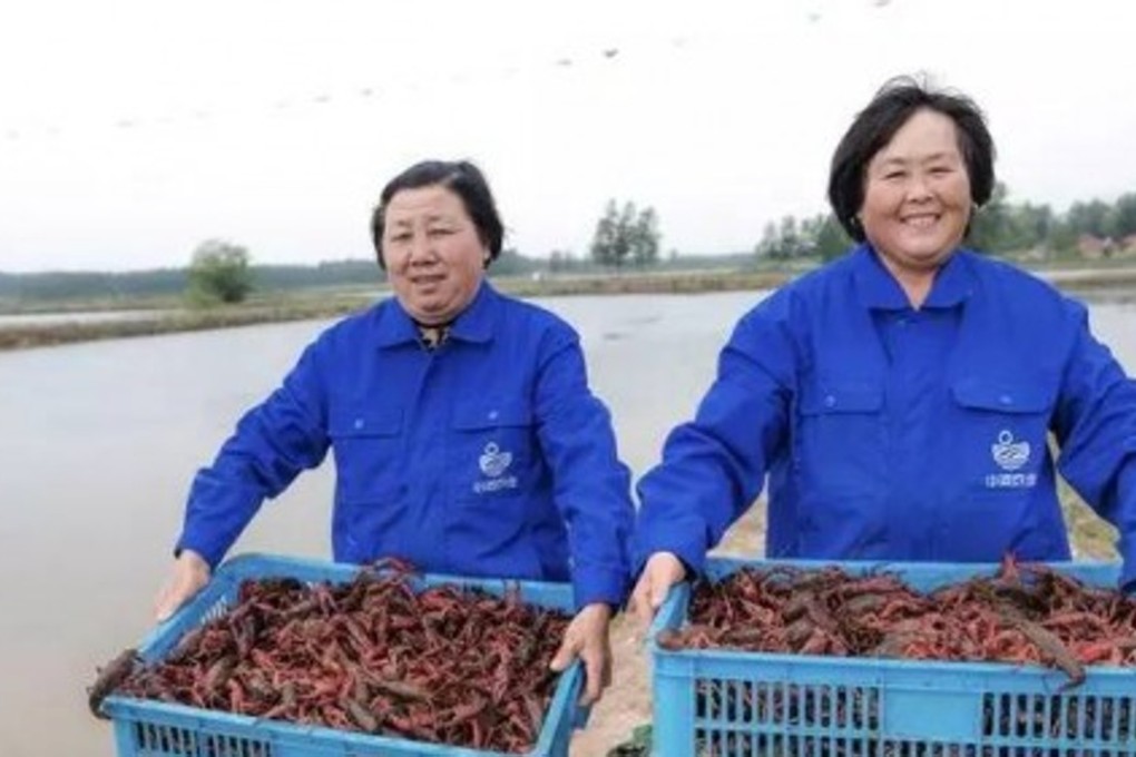 Women collecting crayfish in Xuyi county. Photo: Handout