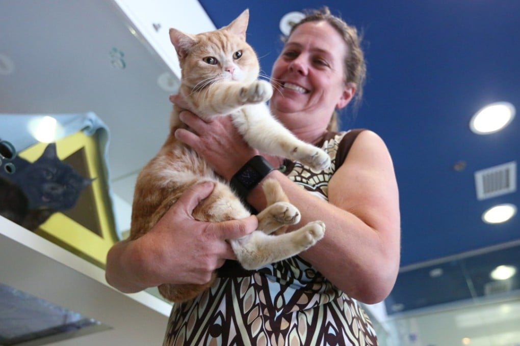 Fiona Woodhouse thinks pet-friendly workplaces would be a good idea. Photo: Nora Tam