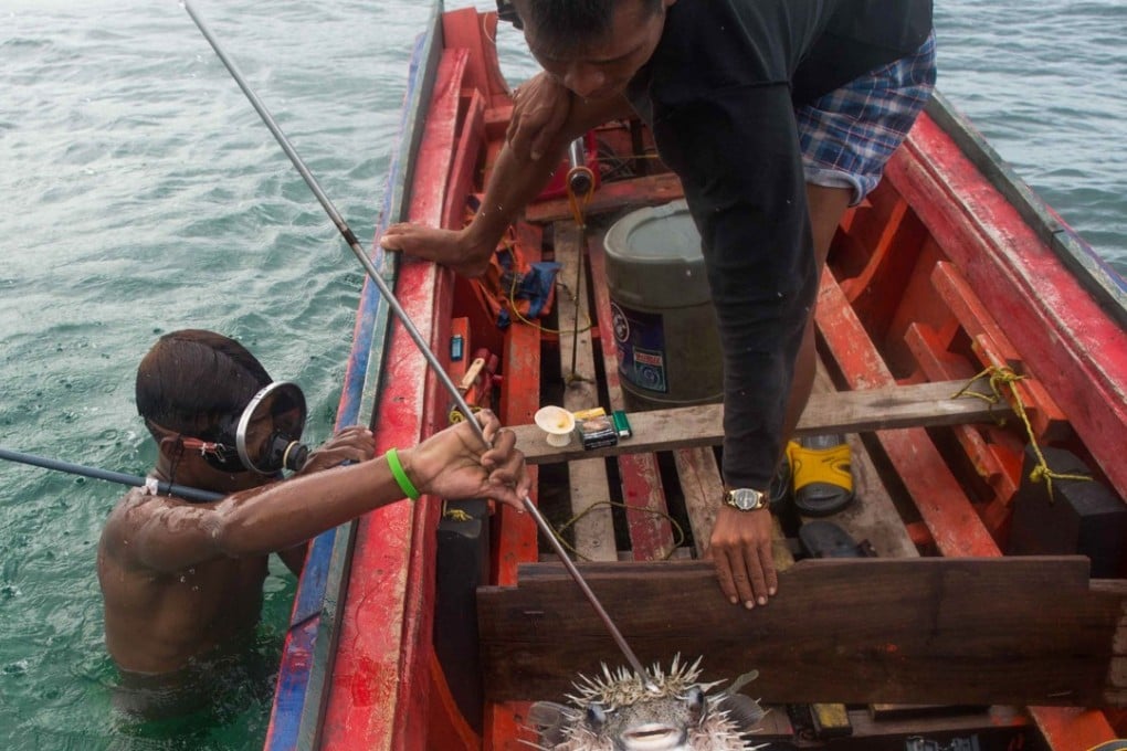 Thiha Thway, a Moken fisherman, after spearing a pufferfish in waters in the Myeik Archipelago. Photo: AFP