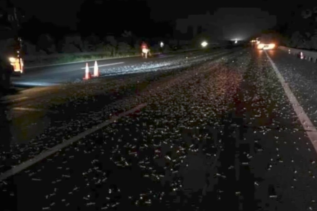 More than 100 vehicles had their tyres punctured after driving over thousands of nails and screws scattered across a road in Zhejiang. Photo: Handout