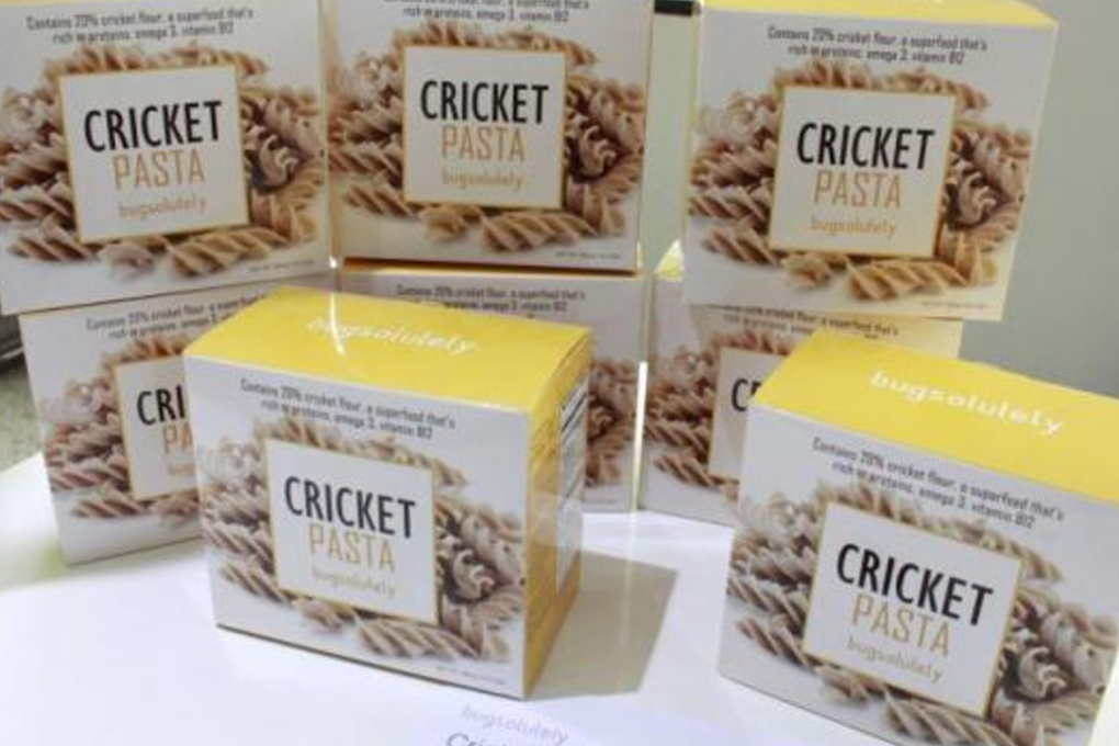 Cricket pasta. Photo: Asean Food and Feed Insects' Association