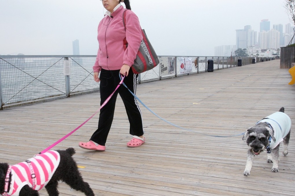 Owning a dog is a big responsibility. Photo: Edward Wong
