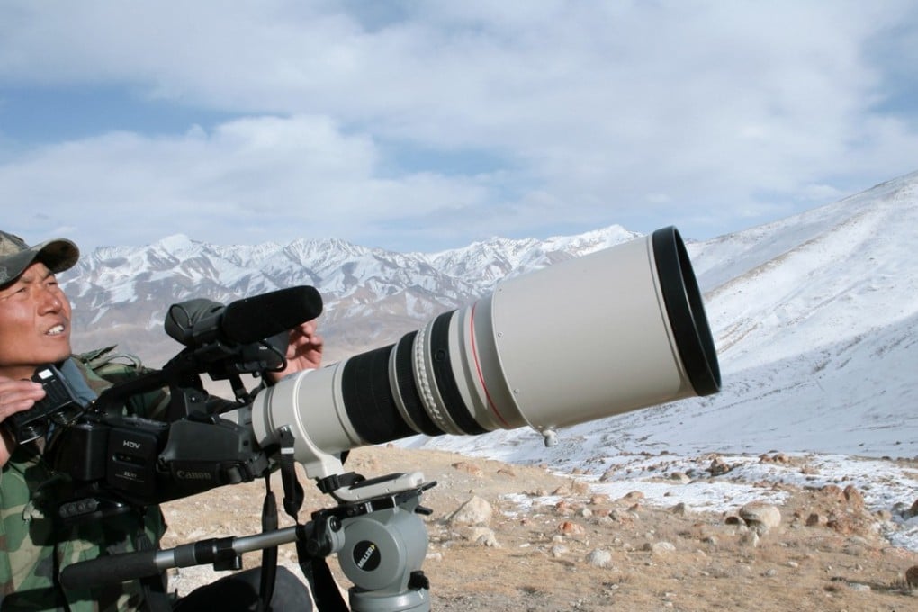Wildlife photographer Xi Zhinong campaigned to protect Tibetan antelopes, which were under threat from poachers shooting the animals for their woolly coats. Photo: Handout