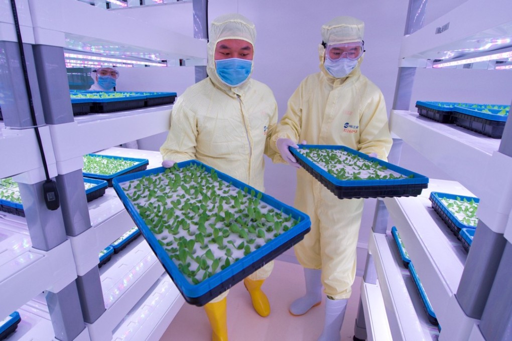 Workers at the Sanan Sino-Science plant factory in southeastern China’s Fujian province check on their seedlings. The facility uses intelligent control systems to grow vegetables. Photo: Xinhua