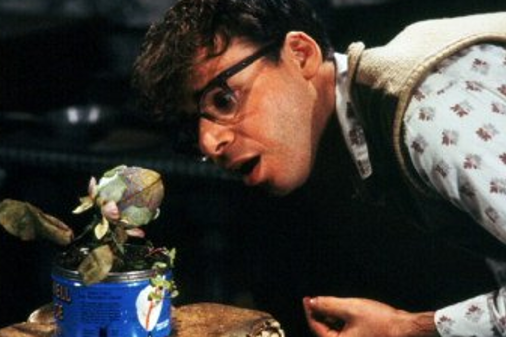 Seymour thought the plant in Little Shop of Horrors was harmless. He was wrong. Photo: Warner Bros.