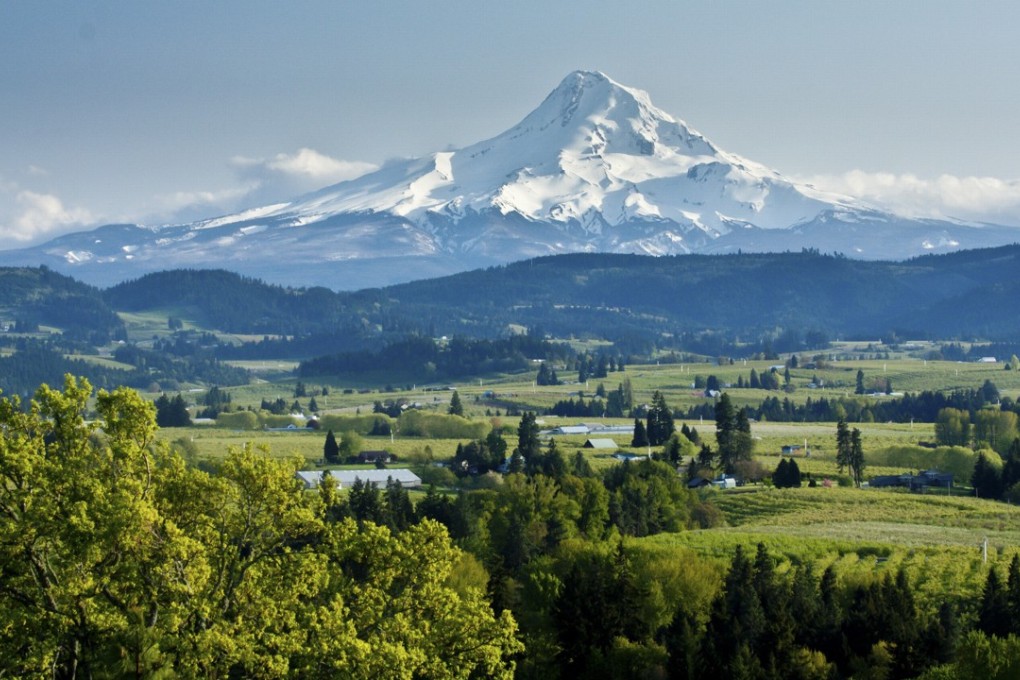 Mount Hood in northern Oregon towers over the vineyards of the Columbia River Valley. Photo: Shutterstock