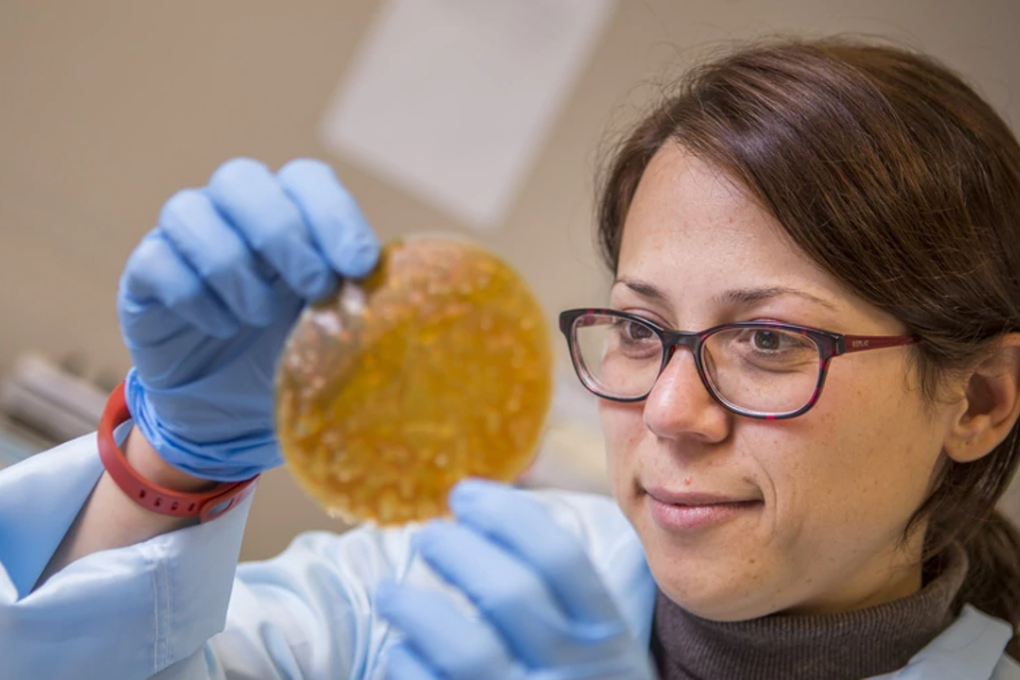 Canterbury University PhD student Azadeh Hashemi is using milk protein to create biodegradable films with 3D cell imprints on them. Photo: Supplied