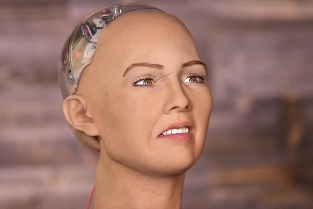 Sophia, the humanoid robot coming to New Zealand. She may one day serve in jobs such as healthcare, therapy, education and customer service. Photo: Supplied