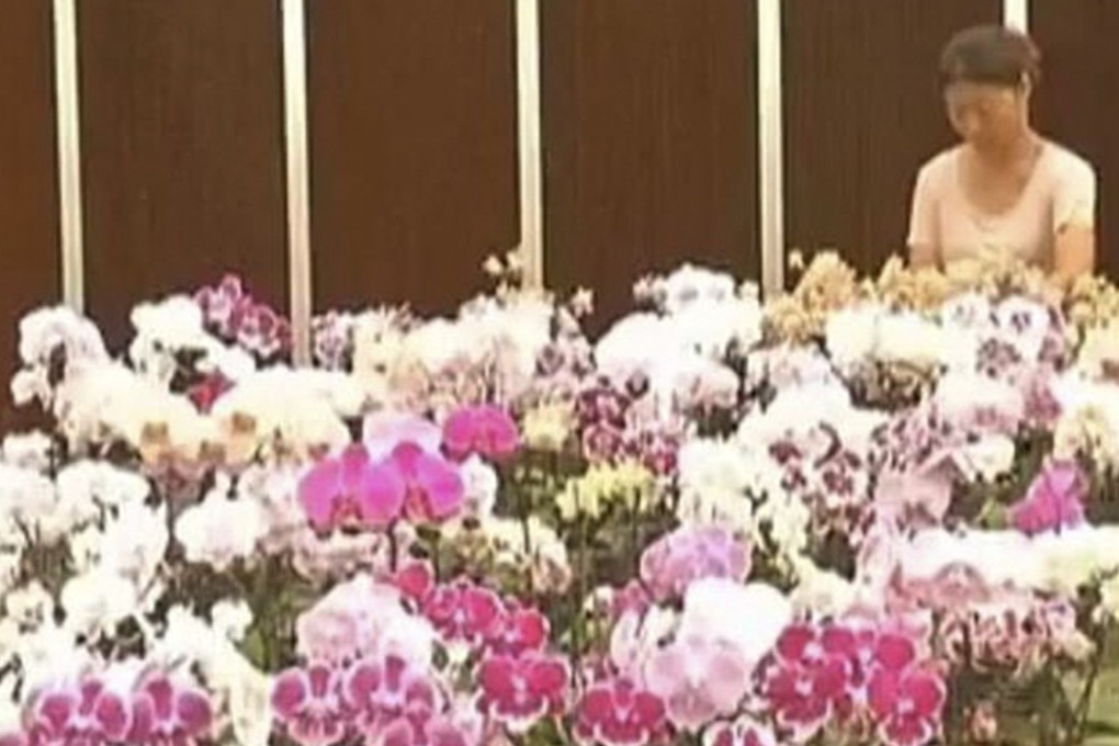 A woman stands beside a display of colourful orchids. Photo: Handout