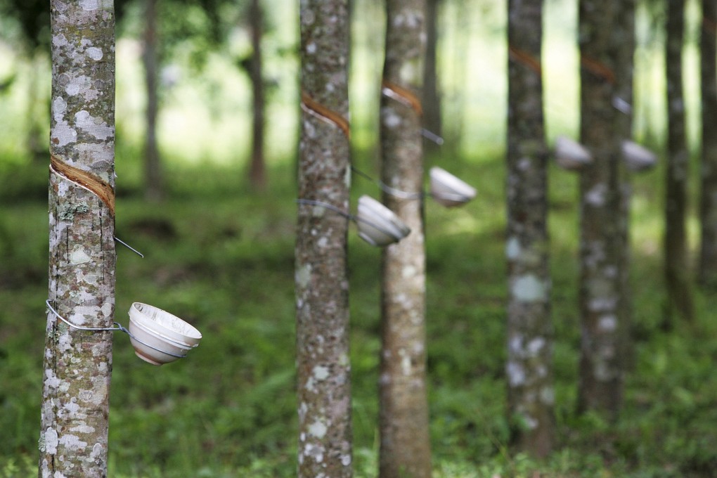 Chart of the day: Shanghai rubber futures show signs of bottoming