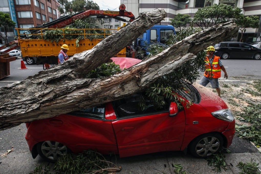 Taiwanese workers remove an uprooted tree that fell on a car on Sunday after the island was struck by Typhoon Nesat. Photo: EPA