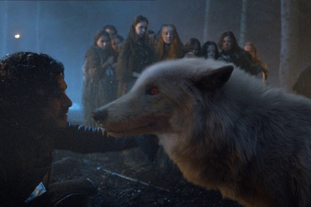 Jon Snow, played by Kit Harington, and his direwolf, Ghost, in Game of Thrones. Photo: Courtesy of HBO