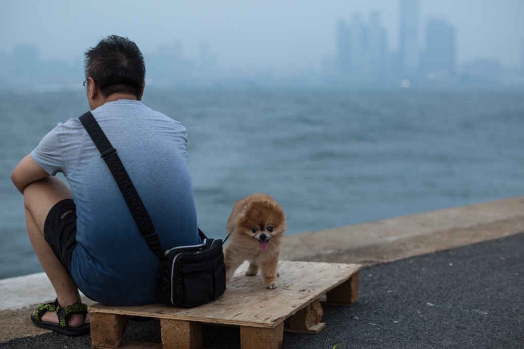 A man and his dog on a pier facing the Victoria Harbour. Everything around Hong Kong seems primed to facilitate a single lifestyle. Photo: EPA