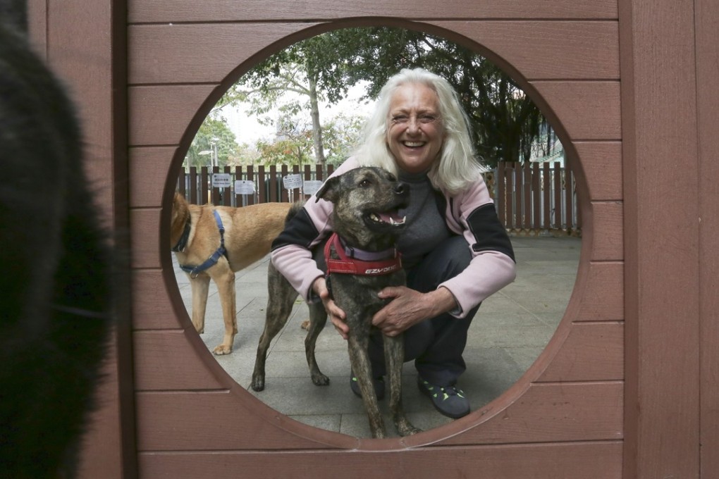 Sally Andersen, founder of Hong Kong Dog Rescue. Picture: Jonathan Wong