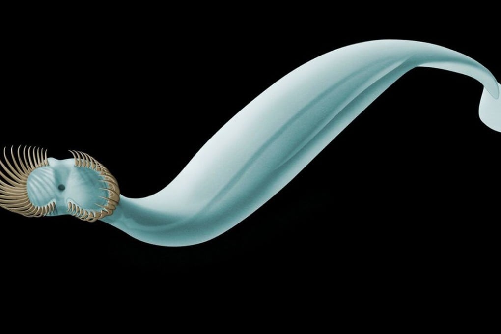 In this illustration by Marianne Collins/Royal Ontario Museum shows a Capinatator praetermissus. Long before dinosaurs roamed the Earth, the bizarre creature swam the seas. Photo: Royal Ontario Museum via AP