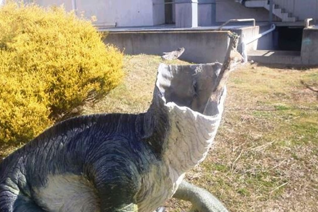 The raptor heads were removed with an angle grinder or hacksaw at National Dinosaur Museum on Saturday night.