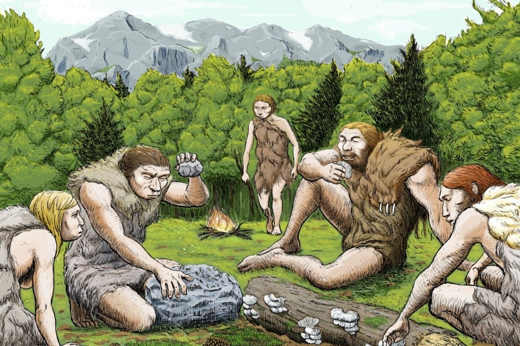 A drawing provided by Abel Grau Guerrero shows mostly vegetarian Spanish Neanderthals munching on mushrooms, pine nuts and moss. Scientists looking into their DNA now believe there are more Neanderthals than previously thought. Photo: Abel Grau Guerrero via AP