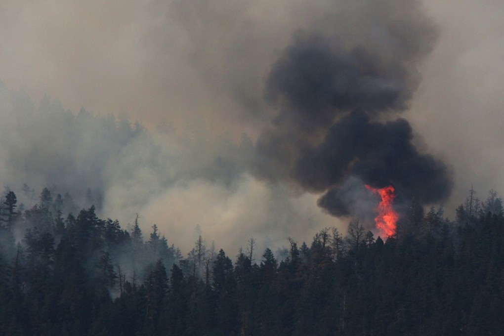 Wildfire raging in British Columbia. North Asia’s Emerald Ash borer has killed millions of Canada’s forest trees, leaving them tinder dry. Photo: Reuters