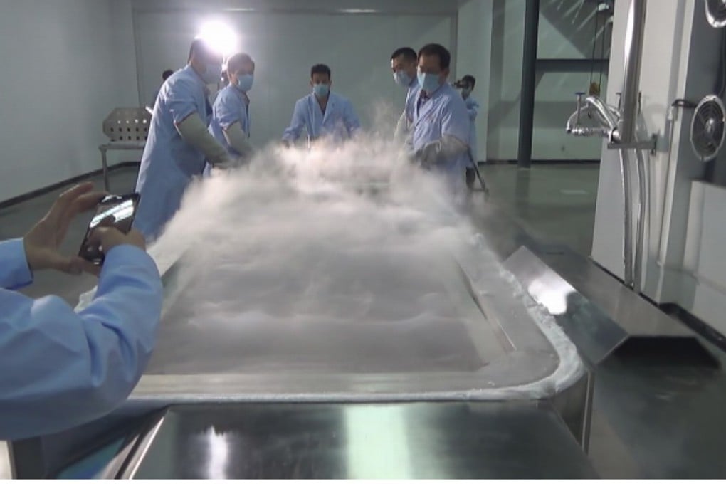 In May, Zhan Wenlian became the first Chinese person to undergo cryogenic freezing at the Shandong Yinfeng Life Sciences Research Institute. Photo: Handout