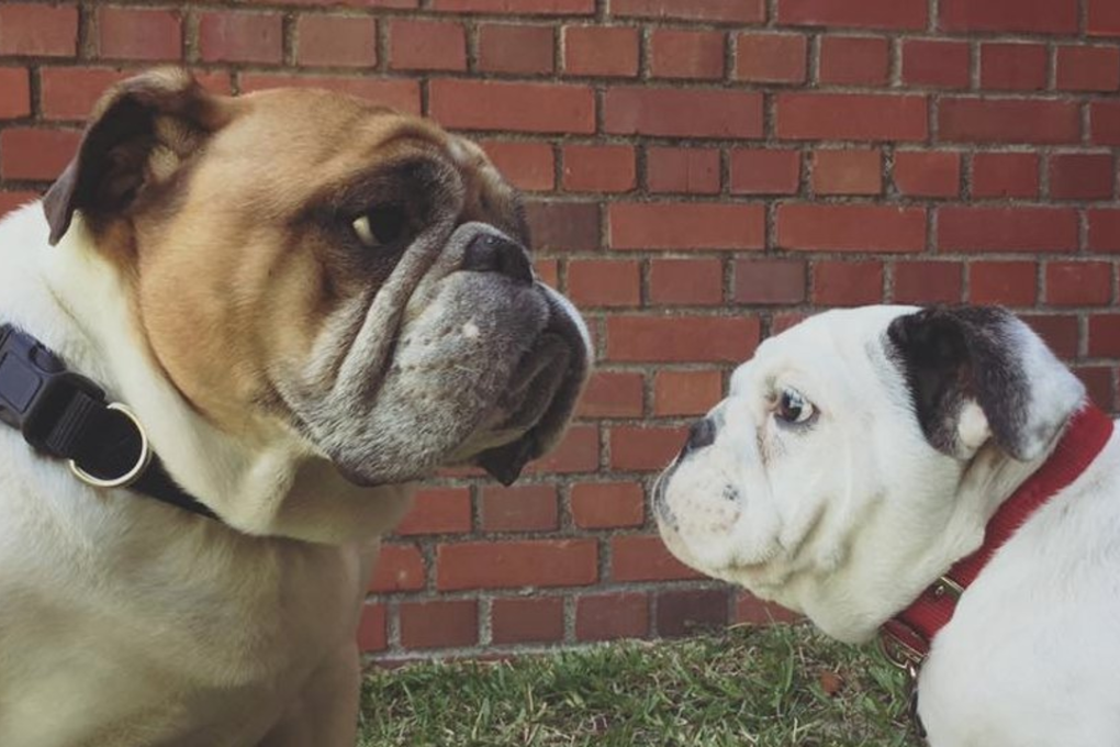 Opha Mae (right). Photo: Parris Island Facebook page