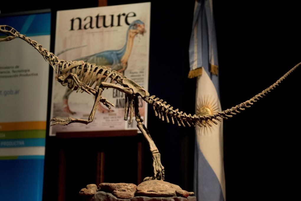 A replica of a skeleton of a Chilesaurus diegosuarezi, a bizarre genus of herbivorous dinosaur, exhibited at the Bernardino Rivadavia Natural Sciences Museum in Buenos Aires, Argentina. Photo: AFP