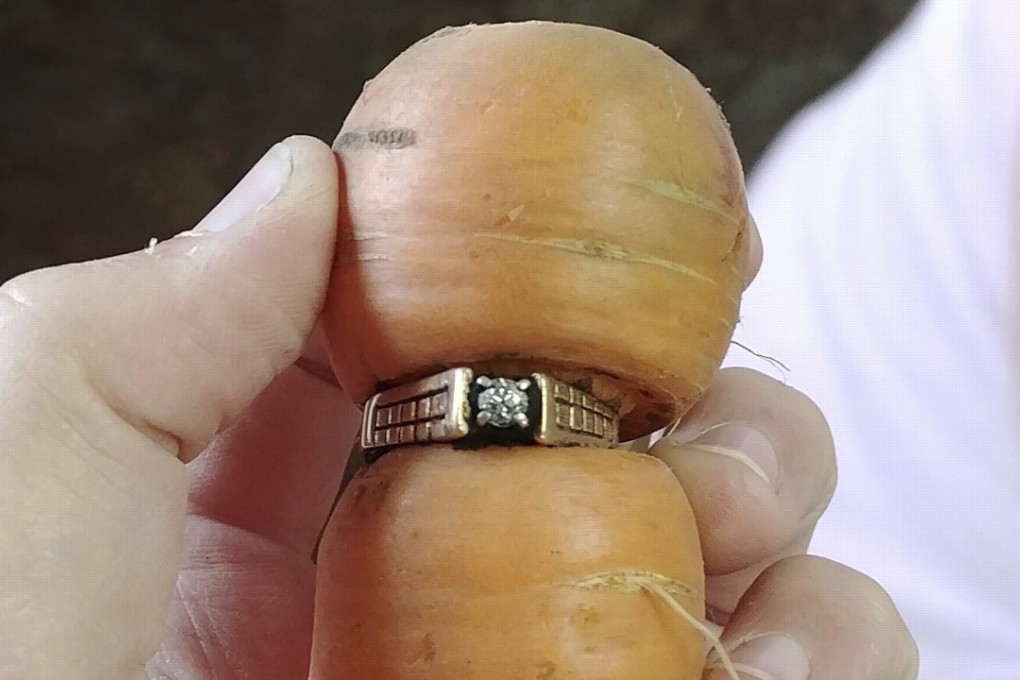 In an undated photo provided by Iva Harberg, Mary Grams, 84, holds a carrot that grew through her engagement ring in Alberta, Canada. Grams, who lost her diamond ring 13 years ago while pulling weeds in her garden, is wearing it proudly again after her daughter-in-law pulled it from the ground on a misshapen carrot. Photo: AP