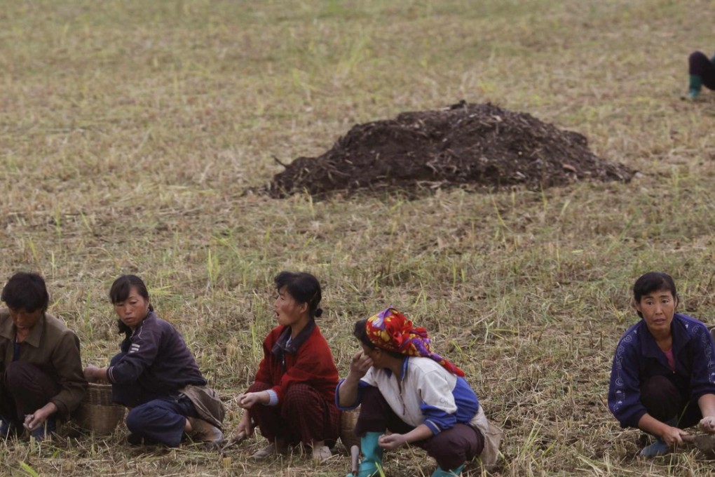Farm workers in North Korea, which has been beset by years of food shortage. Photo: Reuters