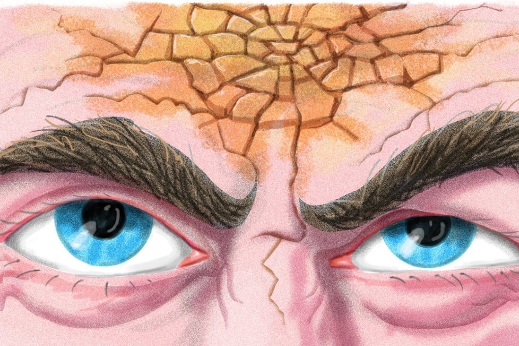 Hotter climates will need cooler heads than Donald Trump’s to think through what we should be doing to deal with climate change. Illustration: Craig Stephens