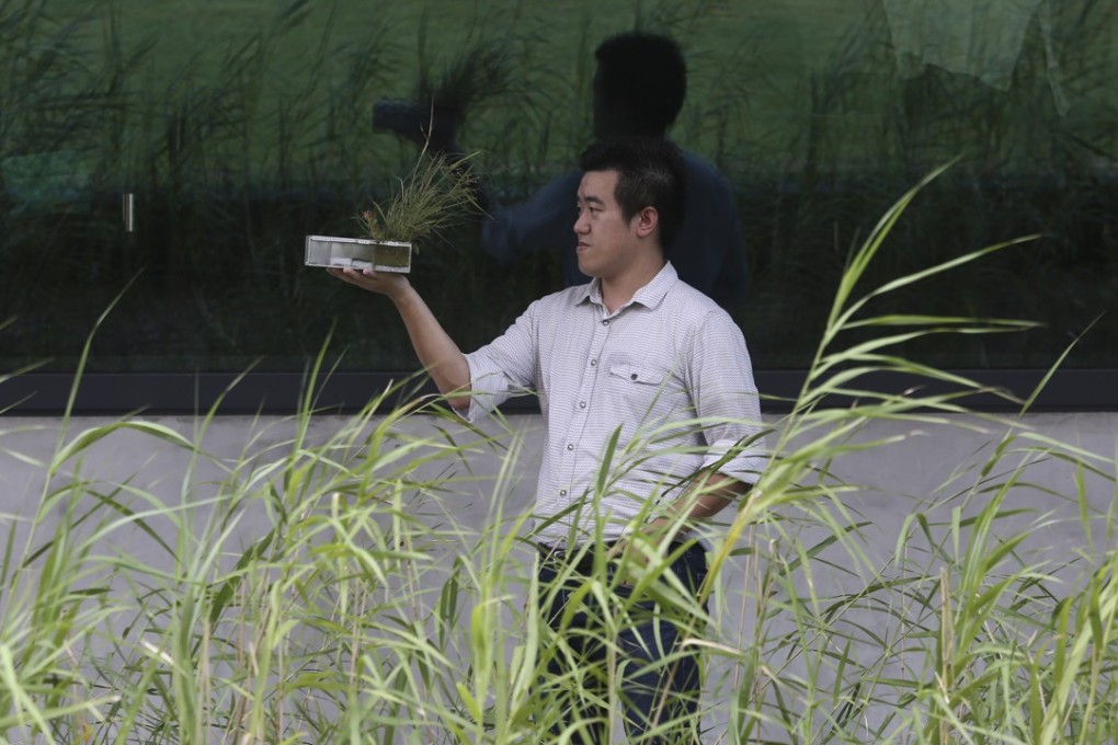 Gap Chung, at Zero Carbon Building, in Kowloon Bay. Picture: Jonathan Wong.