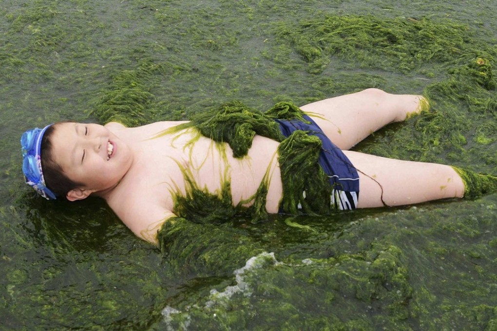 A boy lies in an algae-covered lake in Qingdao, Shandong province. Photo: Reuters