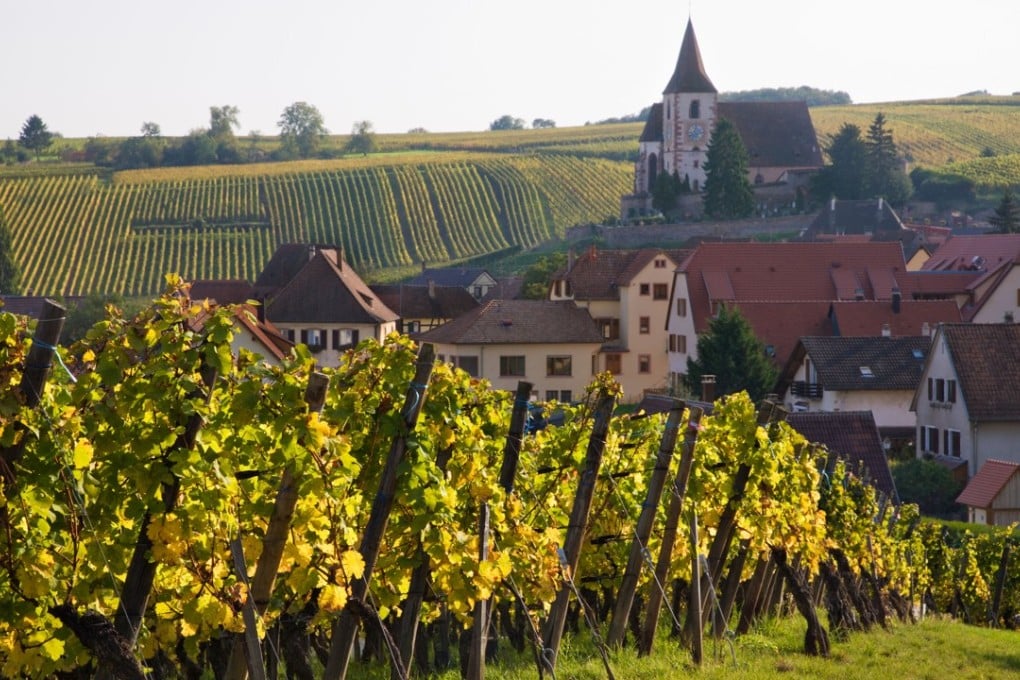 The unicorn-producing Clos Sainte Hune vineyard, in Alsace, France. Picture: Alamy