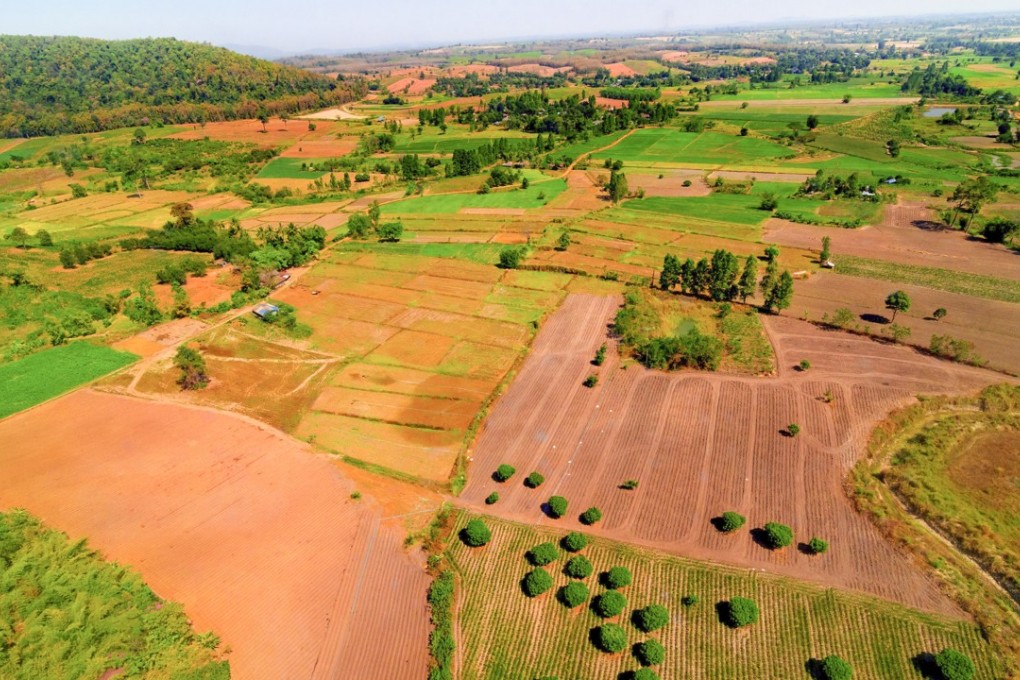 Forests converted into farmland in Thailand. Picture: Alamy
