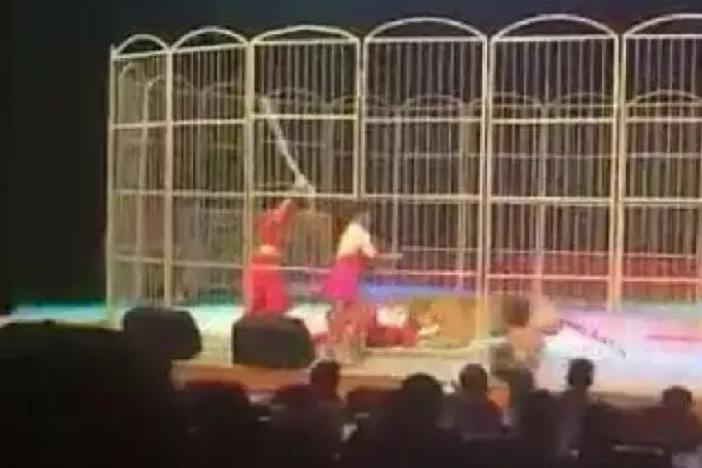 Video footage online showed performers raining blows on the tiger to force it to release its trainer. Photo: Handout