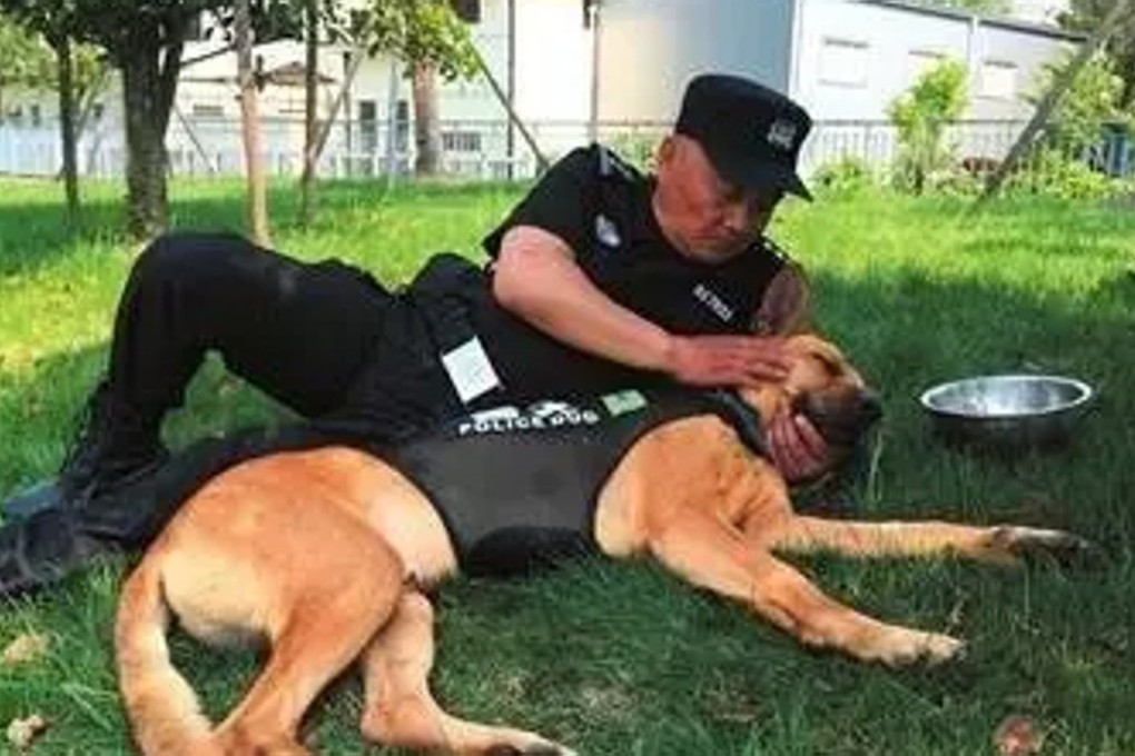Police officer Bai Yan relaxes with one of his faithful canine colleagues. Photo: Handout