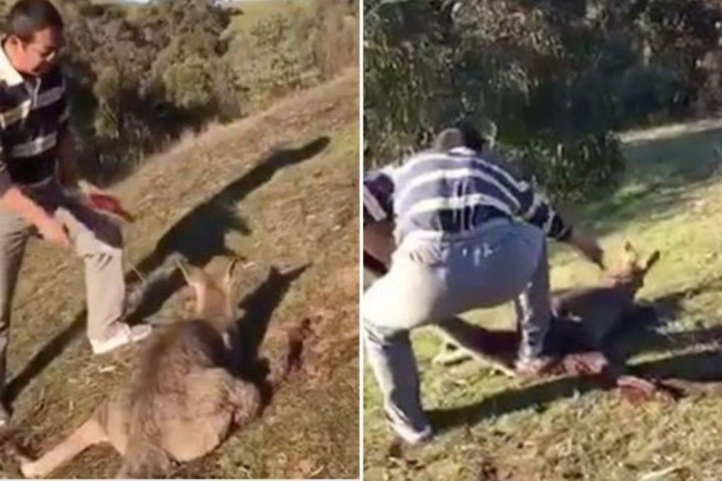 Some internet users contacted the police in Australia after watching footage of the killing, according to media reports. Photo: Handout