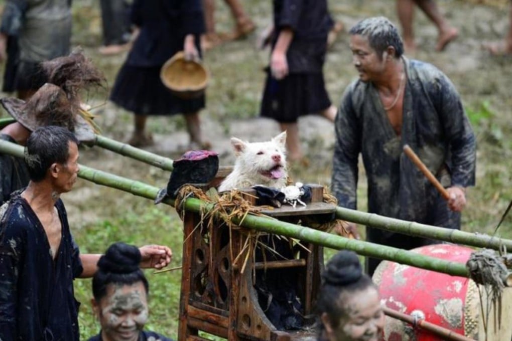 A Miao village in Guizhou has worshipped dogs for centuries. Photo: Handout