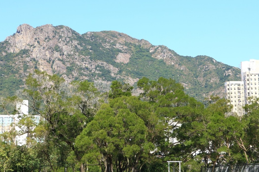 Lion Rock Hill in north Kowloon. Photo: Shutterstock
