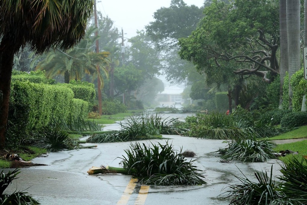 Broken tree branches block roads in the Coral Beach neighbourhood as Hurricane Irma hits the southern part of the state September 10, 2017. Photo: AFP