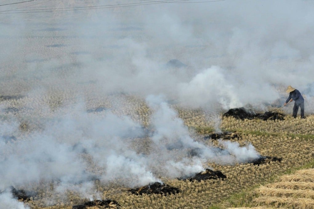 Emissions from farmers burning waste after harvesting have been identified as a serious contributor to air pollution in China. Photo: ImagineChina