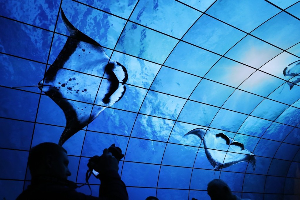 A passageway lined with OLED screens at the Internationale Funkaustellung Berlin, an international consumer electronics fair, on September 1, 2017. Photo: EPA