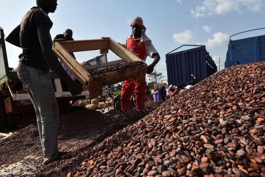 This photograph taken on March 6, shows workers at a cocoa sorting centre in Sobre, Ivory Coast The chocolate industry is indirectly driving massive and illegal deforestation in Ivory Coast, fuelling a catastrophic decline in wildlife, a green group say. Photo: AFP