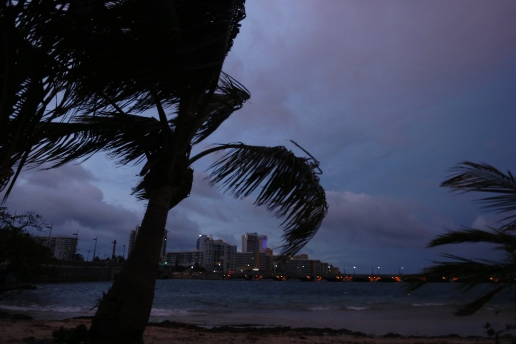 Palm trees blowing in the wind in San Juan, Puerto Rico. Photo: EPA