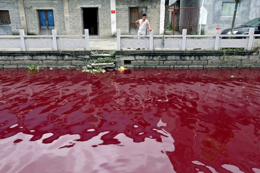 A man looks at a contaminated river in Wenzhou, Zhejiang, in July 2014. Photo: Reuters