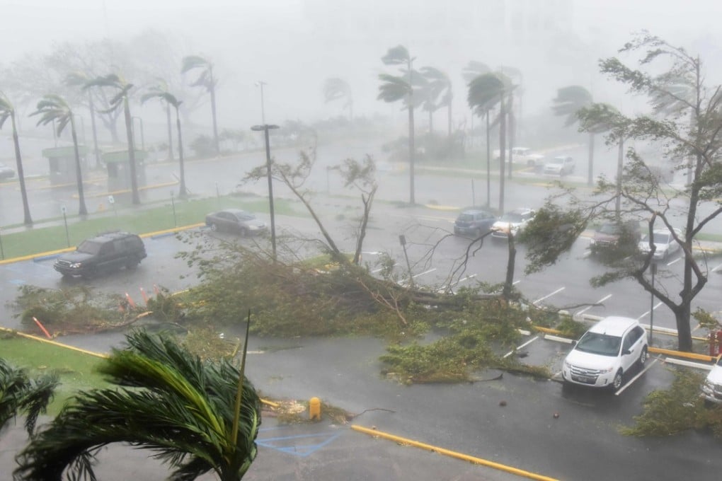 Trees are toppled in a parking lot at Roberto Clemente Coliseum in San Juan, Puerto Rico, on Wednesday during the passage of the Hurricane Maria. Photo: AFP
