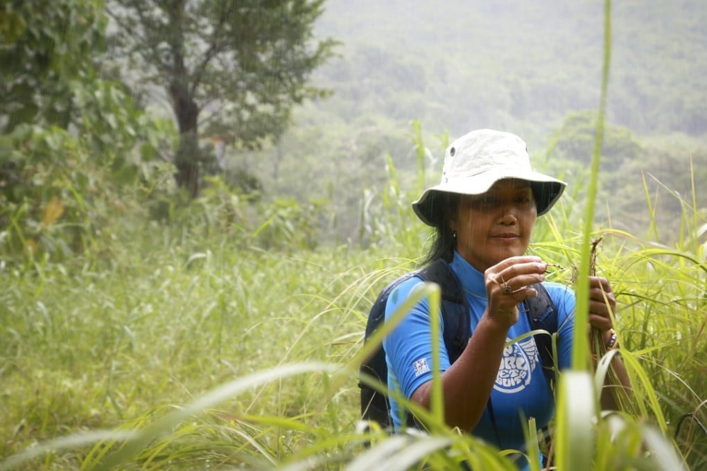 Wanda Huang finds various edible plants around Tai O that will soon be served up to customers at restaurants in Hong Kong. Photo: James Wendlinger