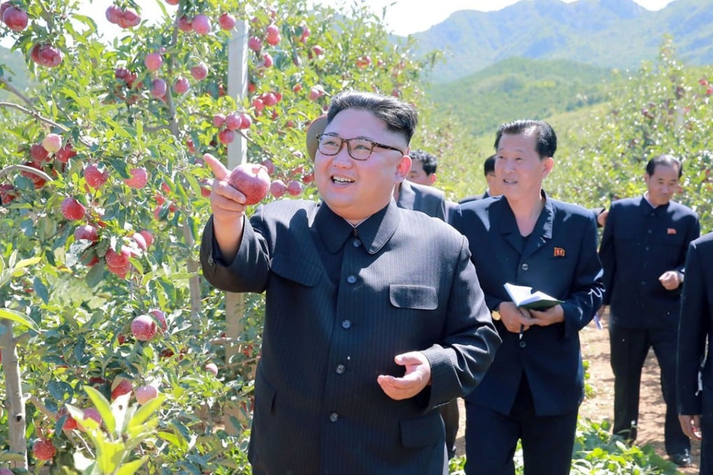 North Korean leader Kim Jong-un visits a fruit farm in South Hwanghae Province in this photo released by Pyongyang’s official news agency. Photo: KCNA via AFP