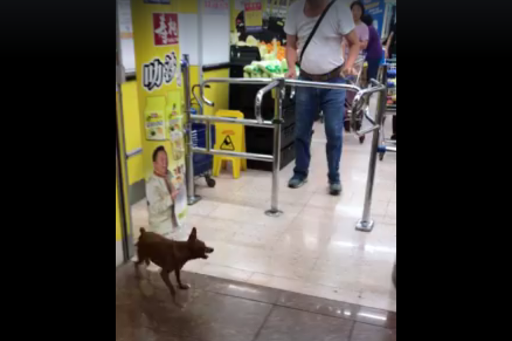 A still image from the video posted online. Photo: Facebook